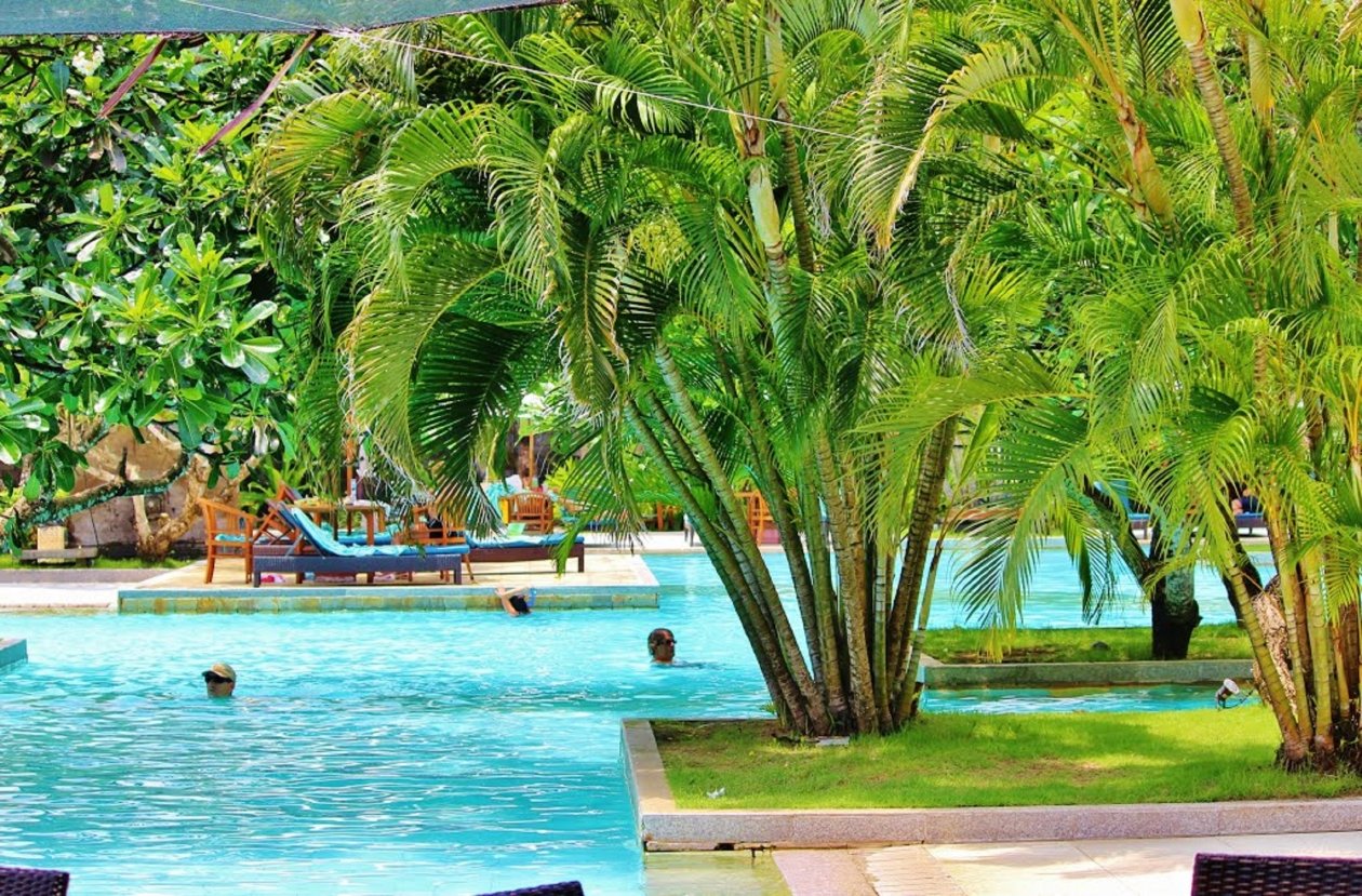 Тематическое фото pxhere.com