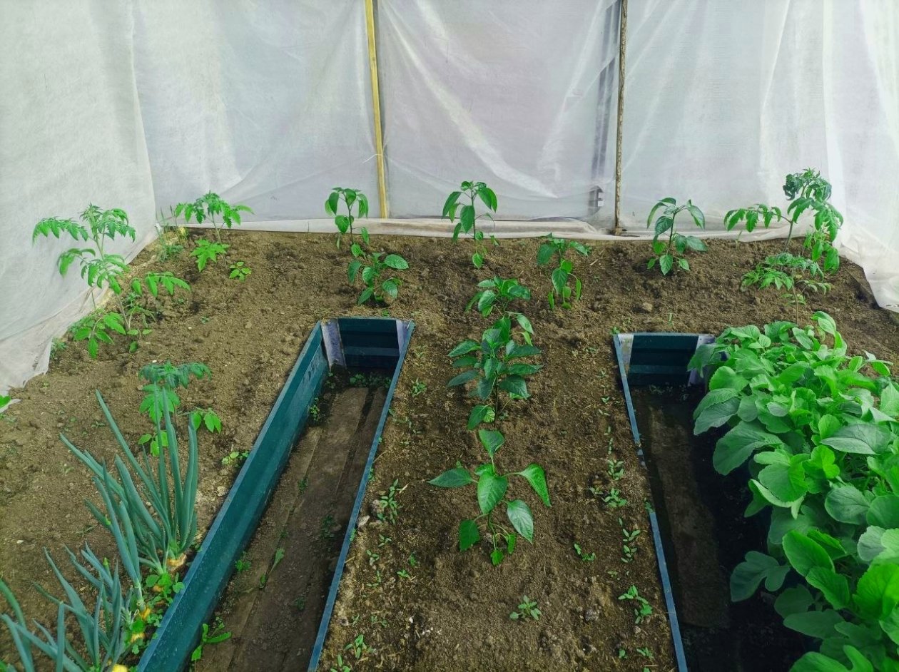 Тематическое фото Фото автора