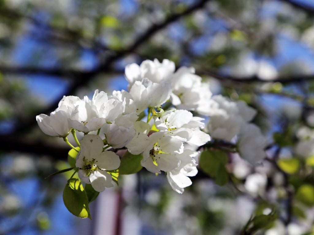 Гороскоп на 14 апреля: Разговоры с людьми из прошлого выйдут на первый план Оленникова Мария, IrkutskMedia