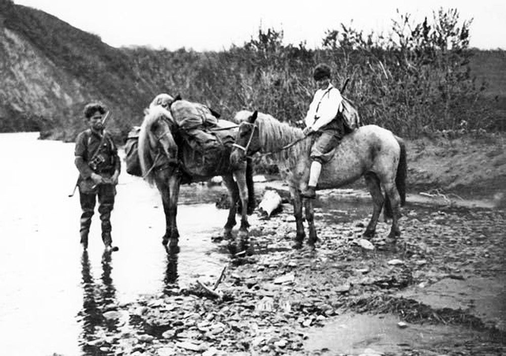 Юрий Аверин