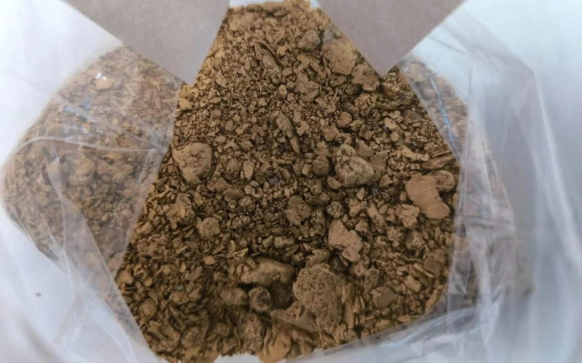 Пресс-служба УМВД России по Хабаровскому краю