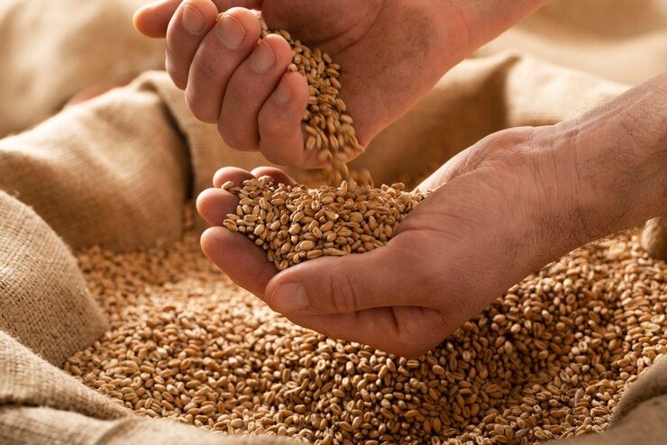 Тематическое фото Приморское межрегиональное управление Россельхознадзора