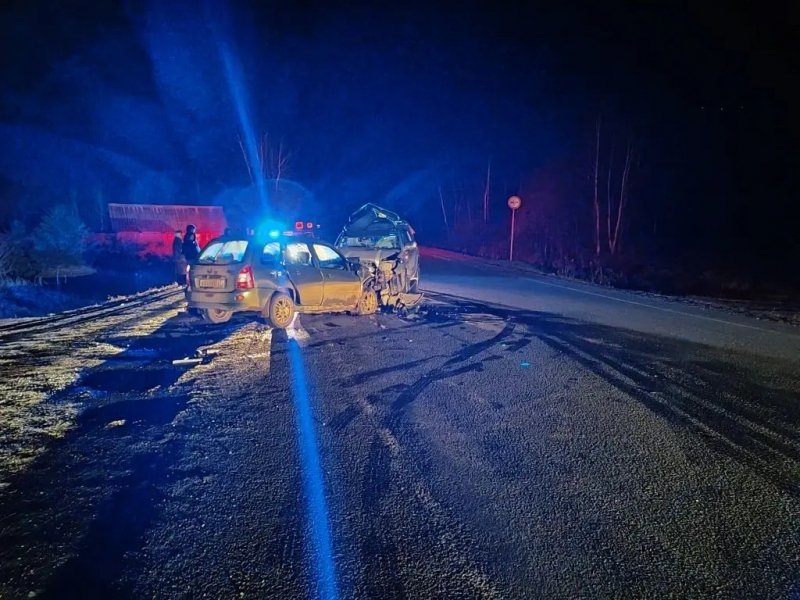 На трассе &quotУссури&quot погиб 73-летний водитель после выезда на встречную полосу Пресс-служба УМВД России по Приморскому краю