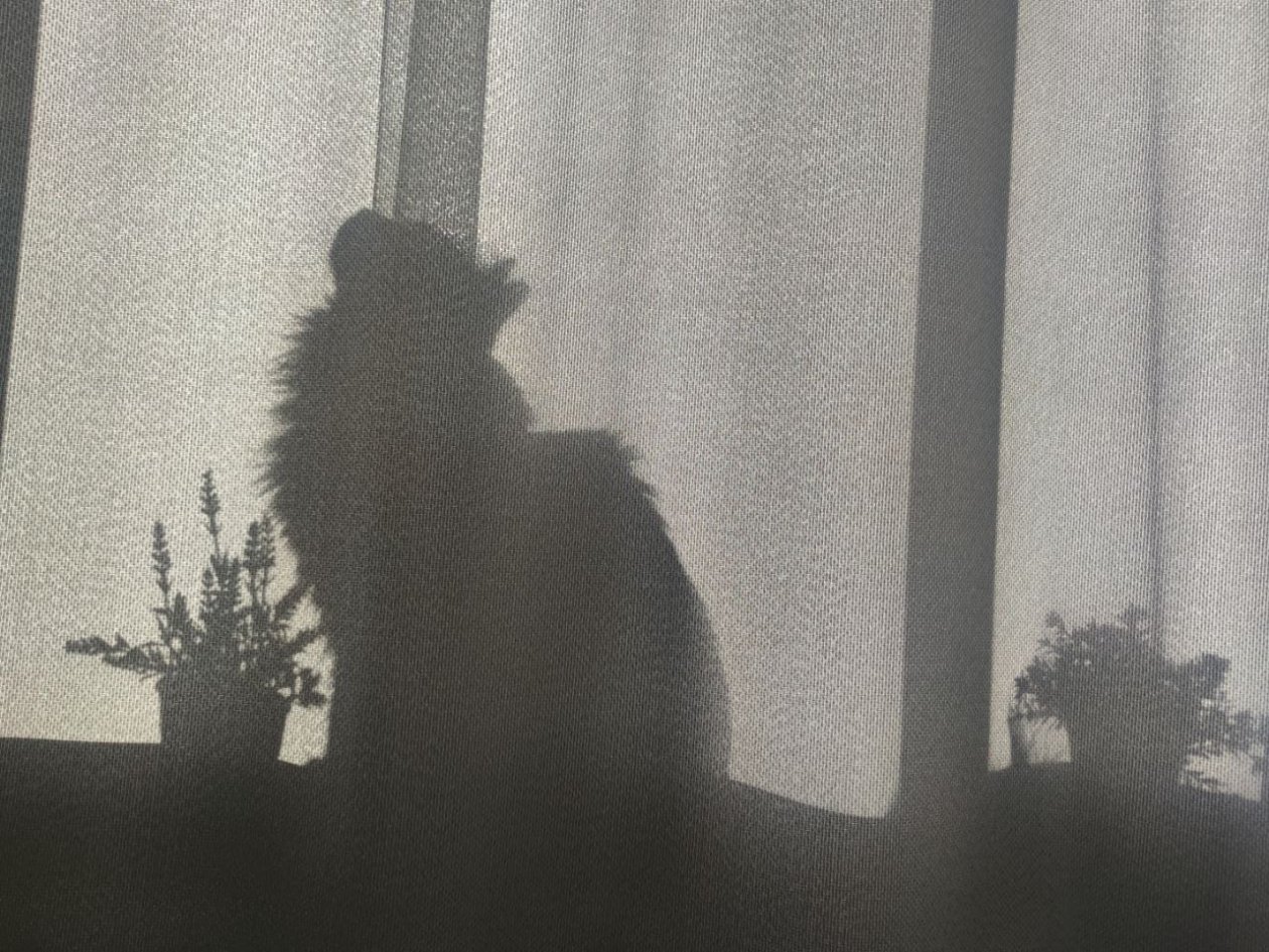 Без света 14 апреля останутся более 40 населенных пунктов на Ставрополье ИА Stavropol.Media