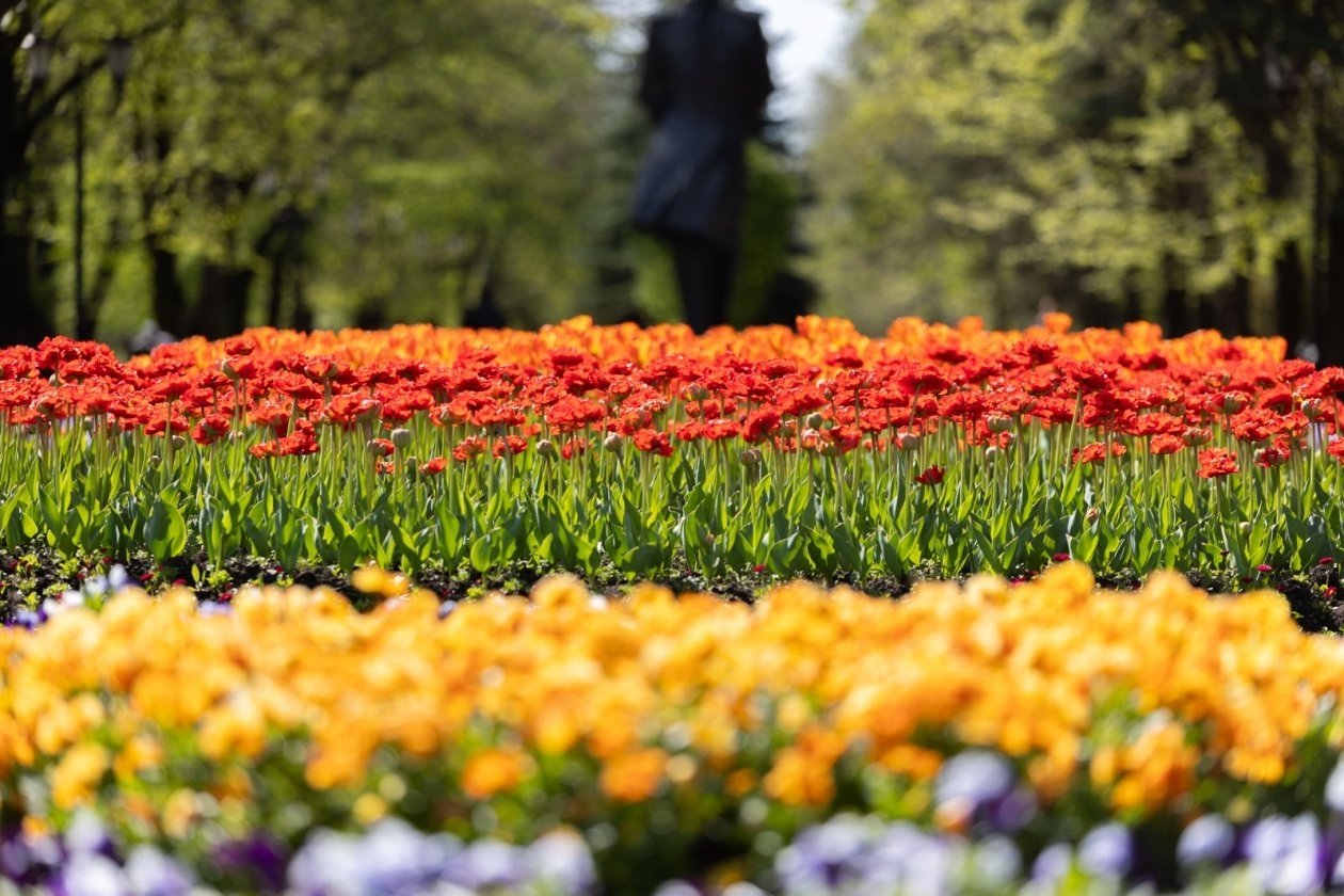 В Ставрополе экскурсии для школьников интегрируют в учебные планы ИА Stavropol.Media