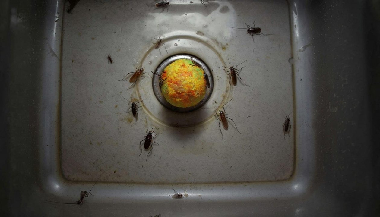 Тематическое фото Создано при помощи ИИ