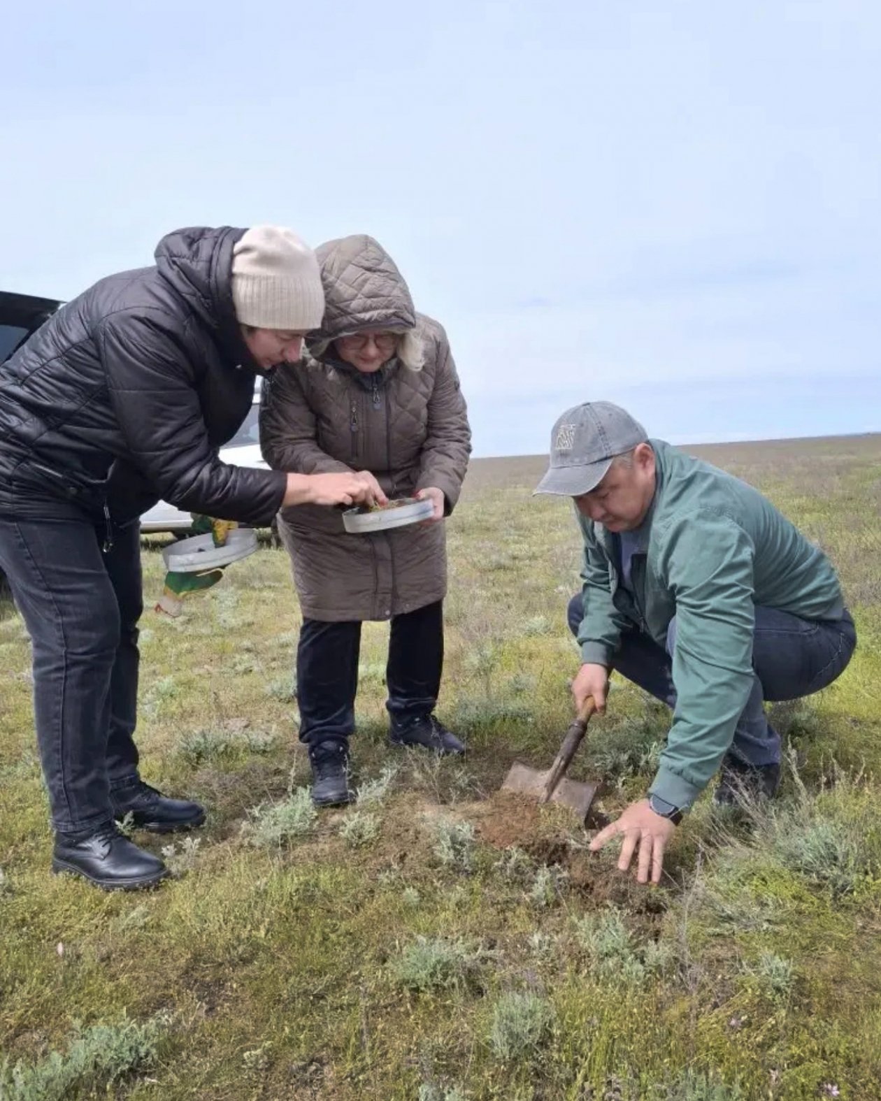 На Ставрополье и в Калмыкии начали совместный мониторинг саранчи пресс-служба Россельхознадзора Ставрополья