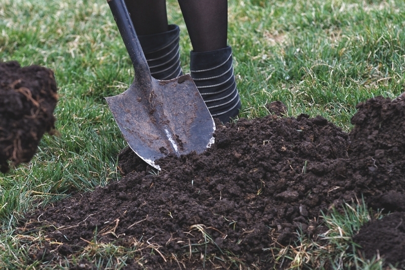 Тематическое фото ИА PrimaMedia