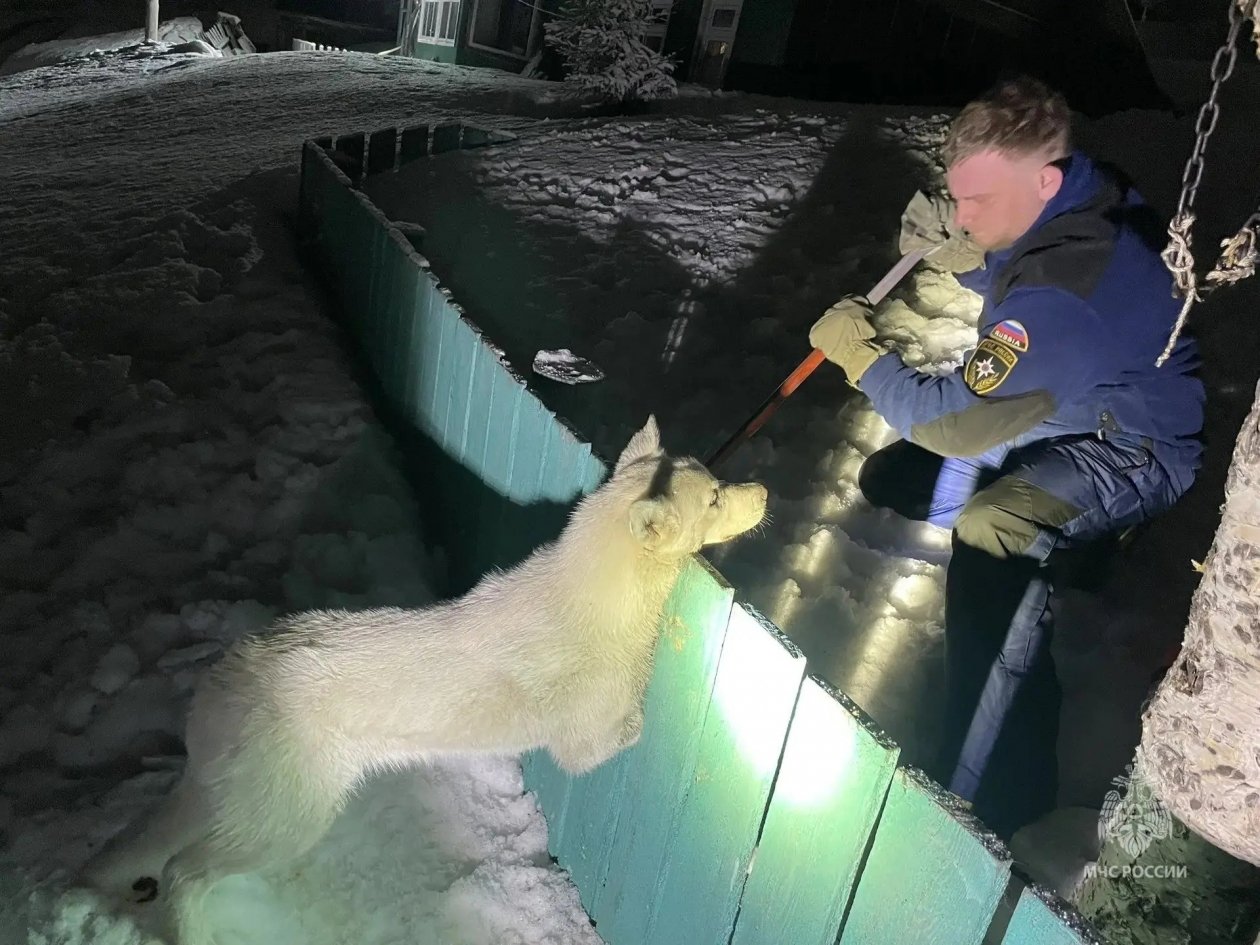 Фото с места событий ГУ МЧС России по Камчатскому краю