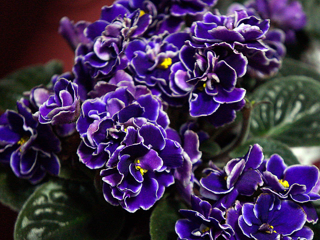 Тематическое фото Мария Оленникова, IrkutskMedia