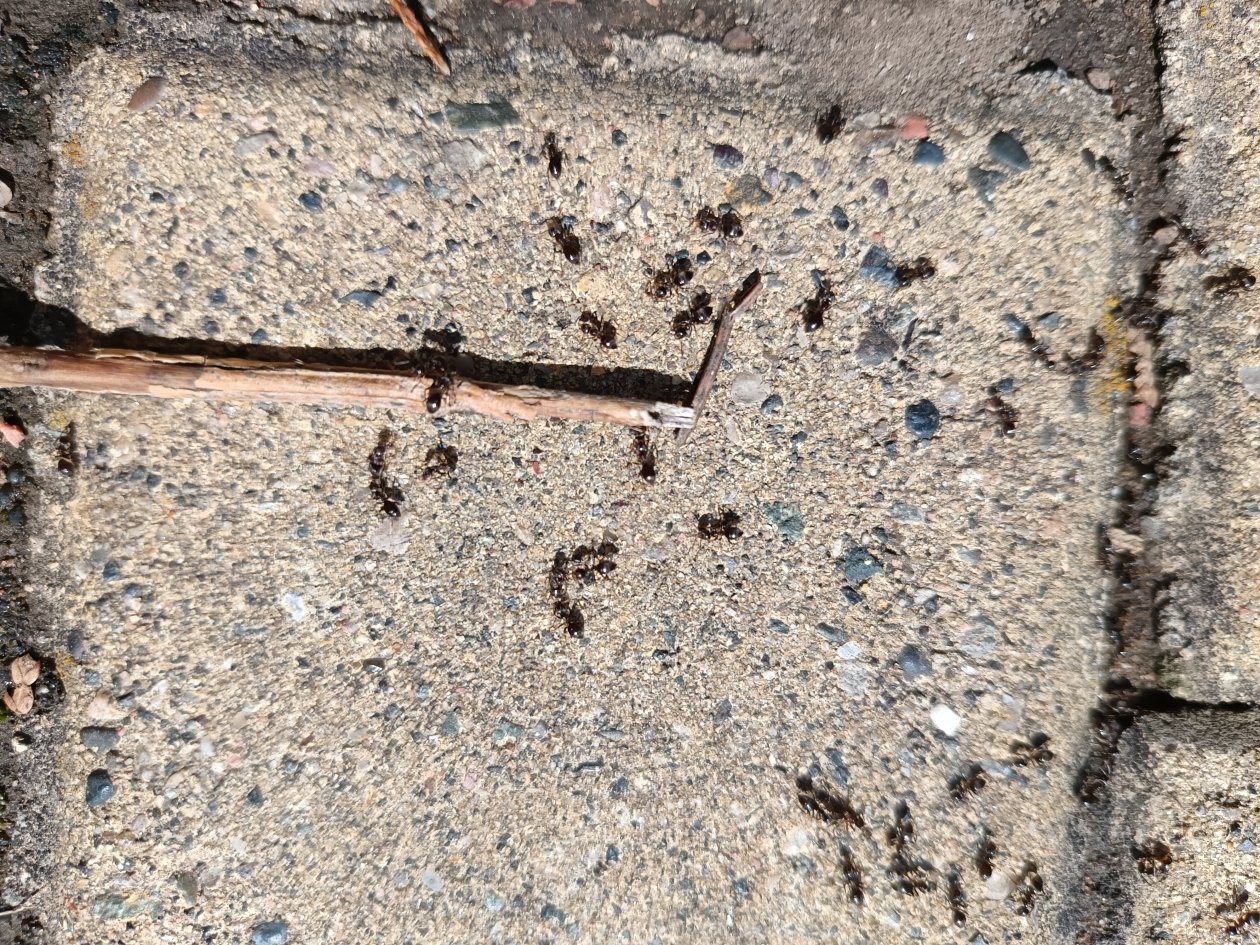 Тематическое фото ИА KrasnodarMedia