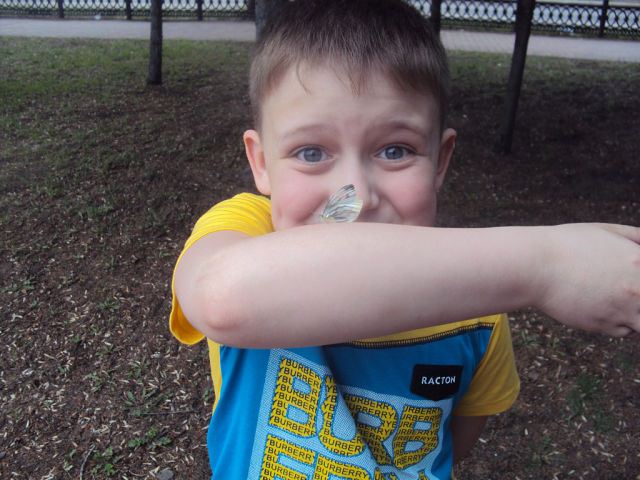 Фотоконкурс "Мое любимое дитя" стартовал на портале ИА EAOmedia, Фото с места события из других источников