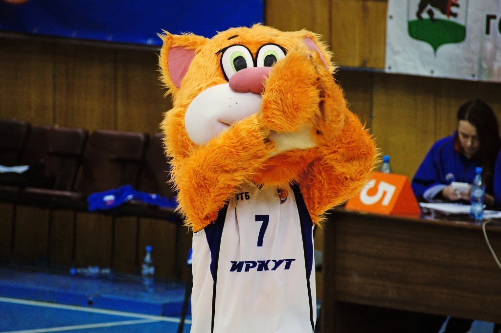 Без котиков никуда, Фото с места события собственное