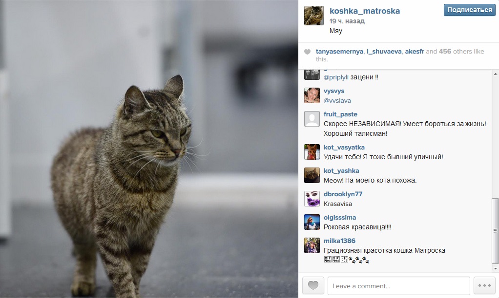Матроска обзавелась аккаунтами в социальных сетях Скриншот с Instagram