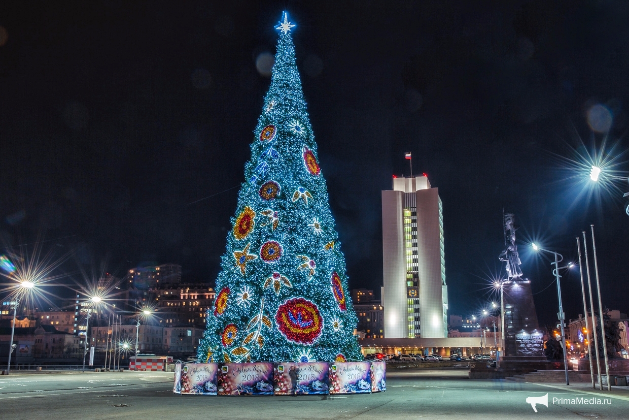 Городская елка. Елка во Владивостоке 2018. Елка во Владивостоке 2019. Новогодняя елка во Владивостоке на площади. Центральная елка во Владивостоке.