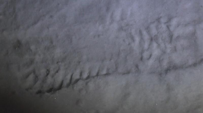 Следы , Фото с места события из других источников