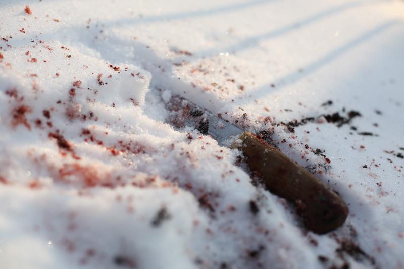 Криминал, Фото с места события из других источников