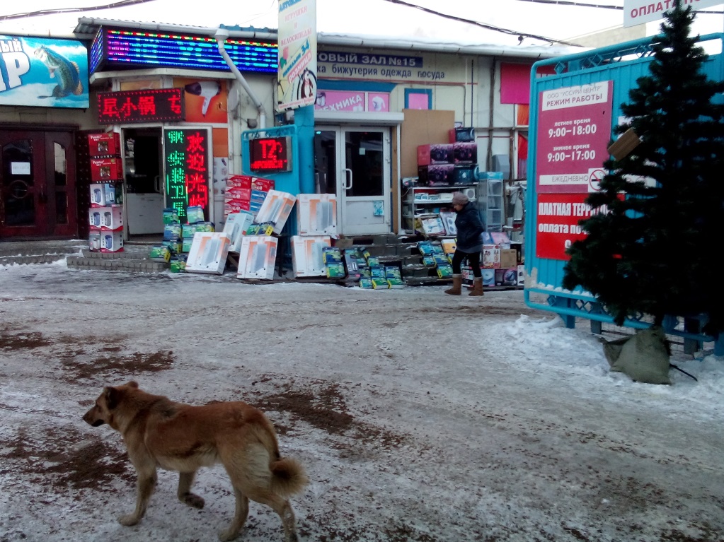 Уссурийск китайский рынок карта