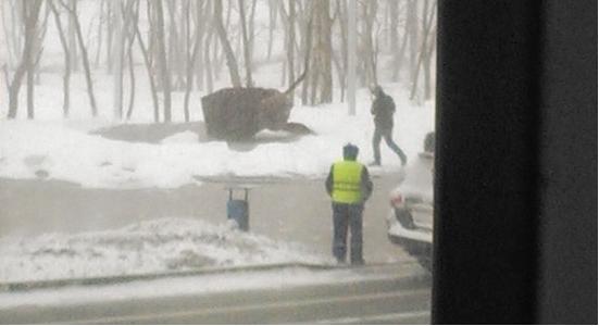 Символ ДВФУ сдуло сильным ветром, Фото с места события из других источников