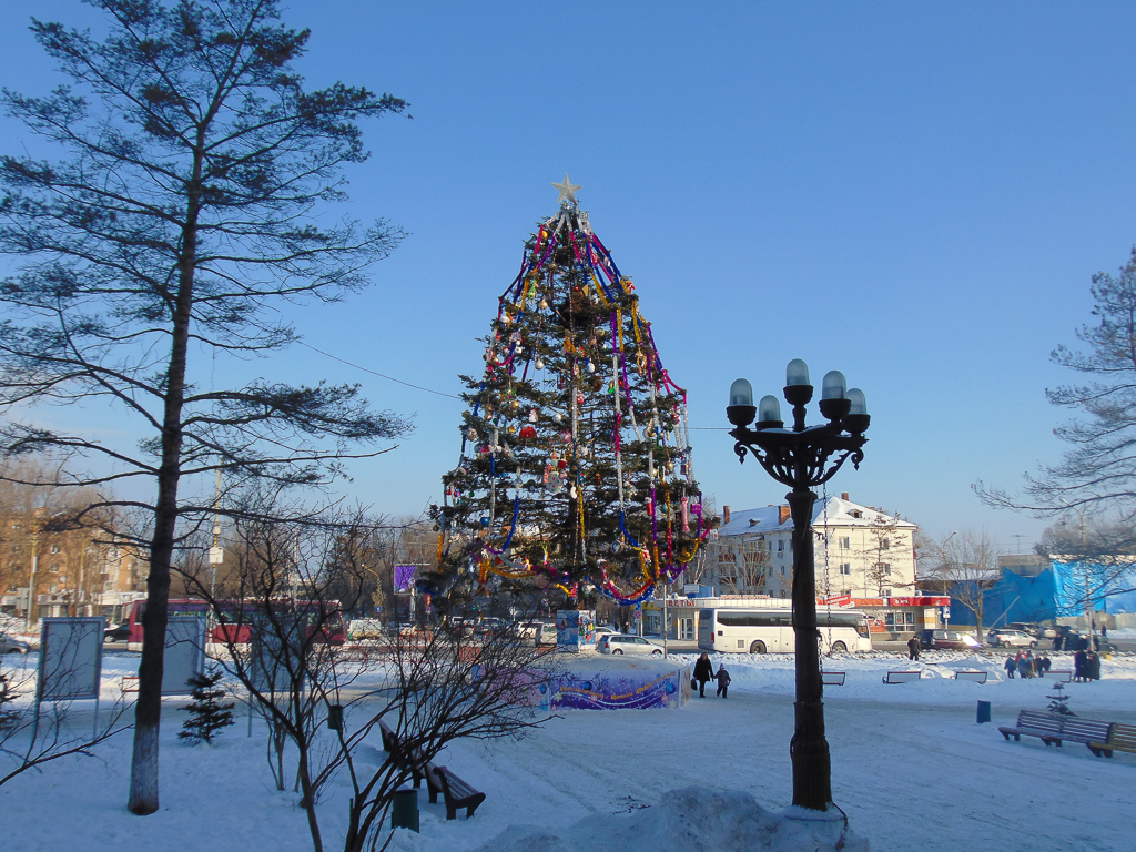 Главная елка города Артема, Фото с места события собственное