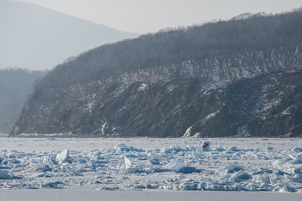 Ледяные торосы, Фото с места события собственное