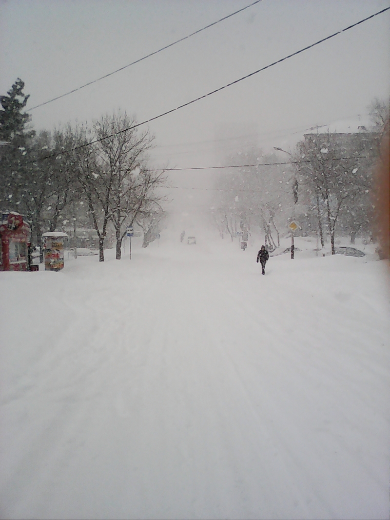 Фотография, занявшая второе место, Фото с места события из других источников