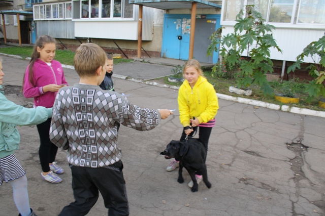 Юные активисты самоуправления провели акции по перевоспитанию владельцев собак, Фото с места события собственное