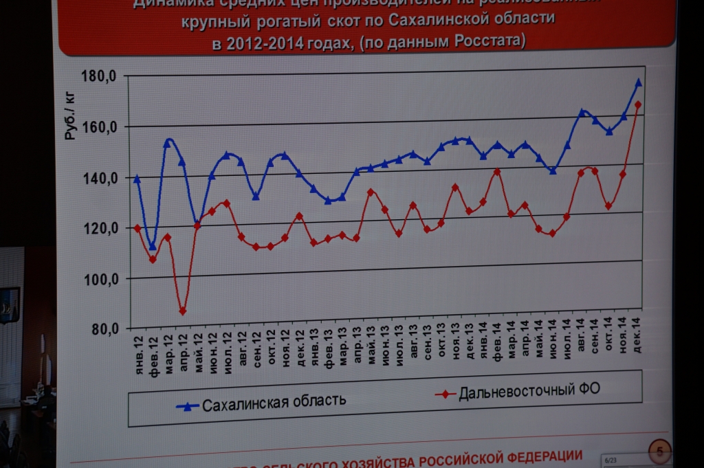 на совещании., Фото с места события собственное
