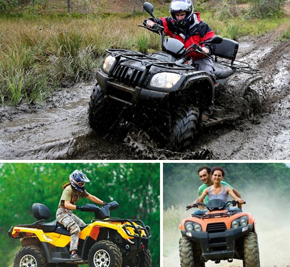 "Дареный конь", Фото с места события из других источников