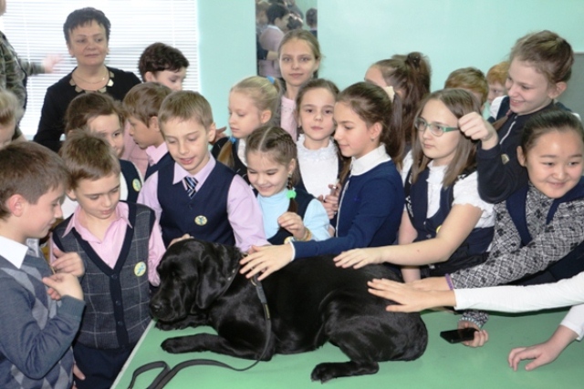 Знакомство со служебной собакой, Фото с места события из других источников