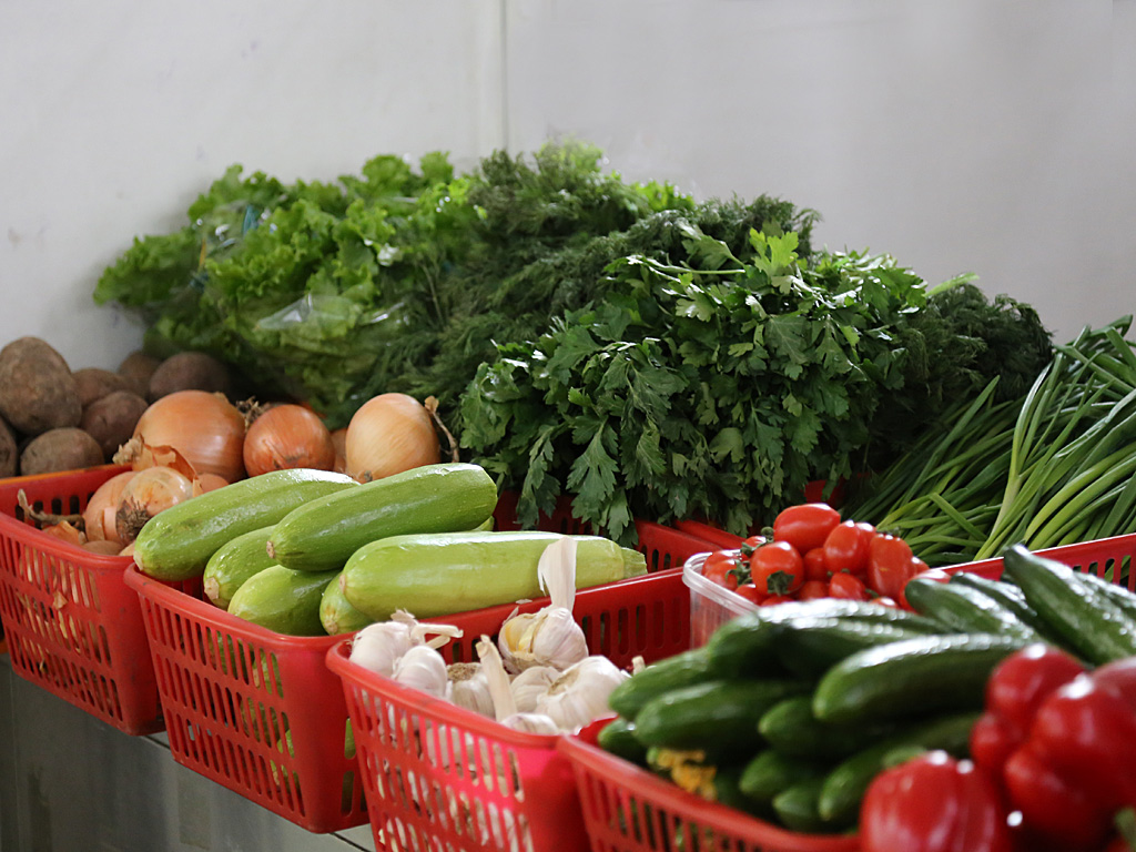 Купить дом в овощах. Сортировка овощей. Для сортирования фруктов и овощей;. Домашние овощи. Сортированные овощи.