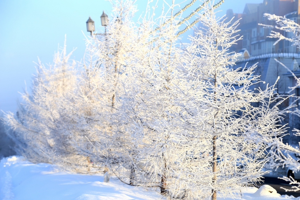 Плотное покрывало тумана опустилось на Хабаровск, Фото с места события собственное