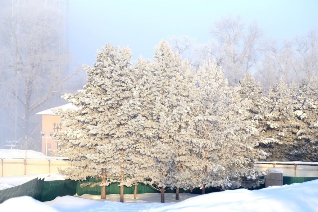 Плотное покрывало тумана опустилось на Хабаровск, Фото с места события собственное