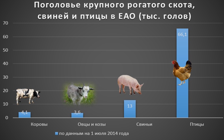 поголовье животных в ЕАО, Инфографика