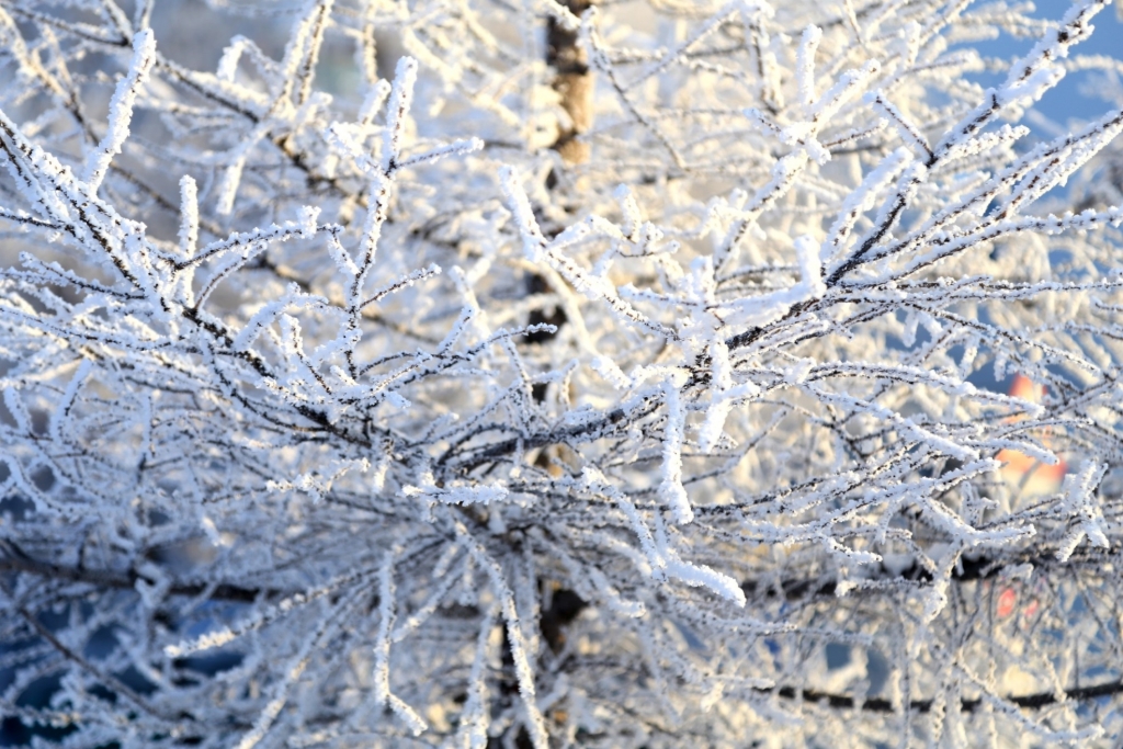 Самые интересные фото февраля – по версии редакции ИА AmurMedia, Фото с места события собственное