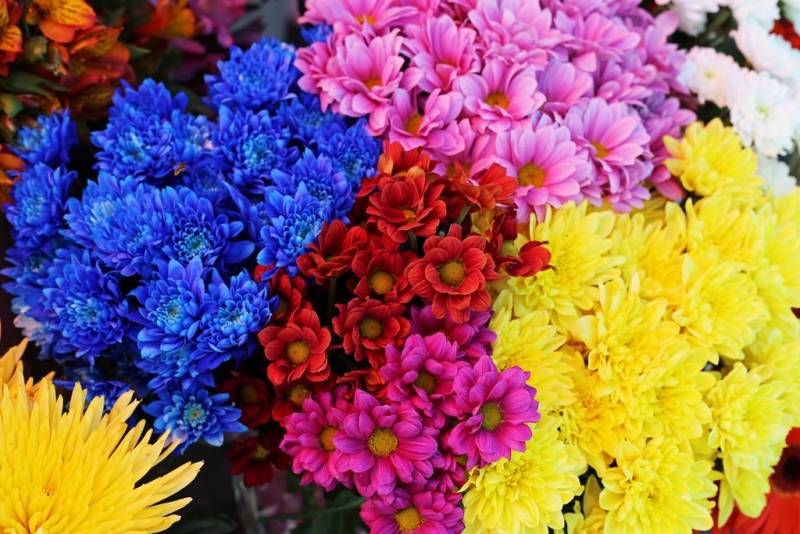 Цветы подорожали в Улан-Удэ к 8 марта на 10-15% Оленникова Мария, IrkutskMedia