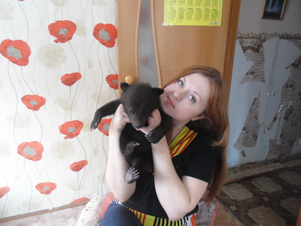 Я боюсь, что медвежат отберут и отправят в "Сысоевский" - хабаровская зоозащитница, Фото с места события из других источников