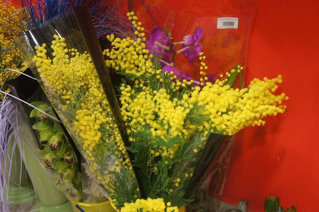 Экзотическими цветами из Голландии могут порадовать биробиджанцы своих женщин 8 Марта, Фото с места события собственное