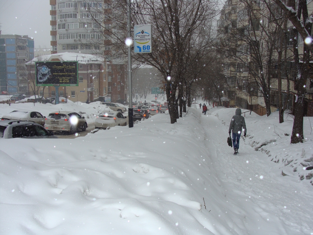 Пробкам быть, обещает сегодняшний снегопад знающим людям, Фото с места события собственное