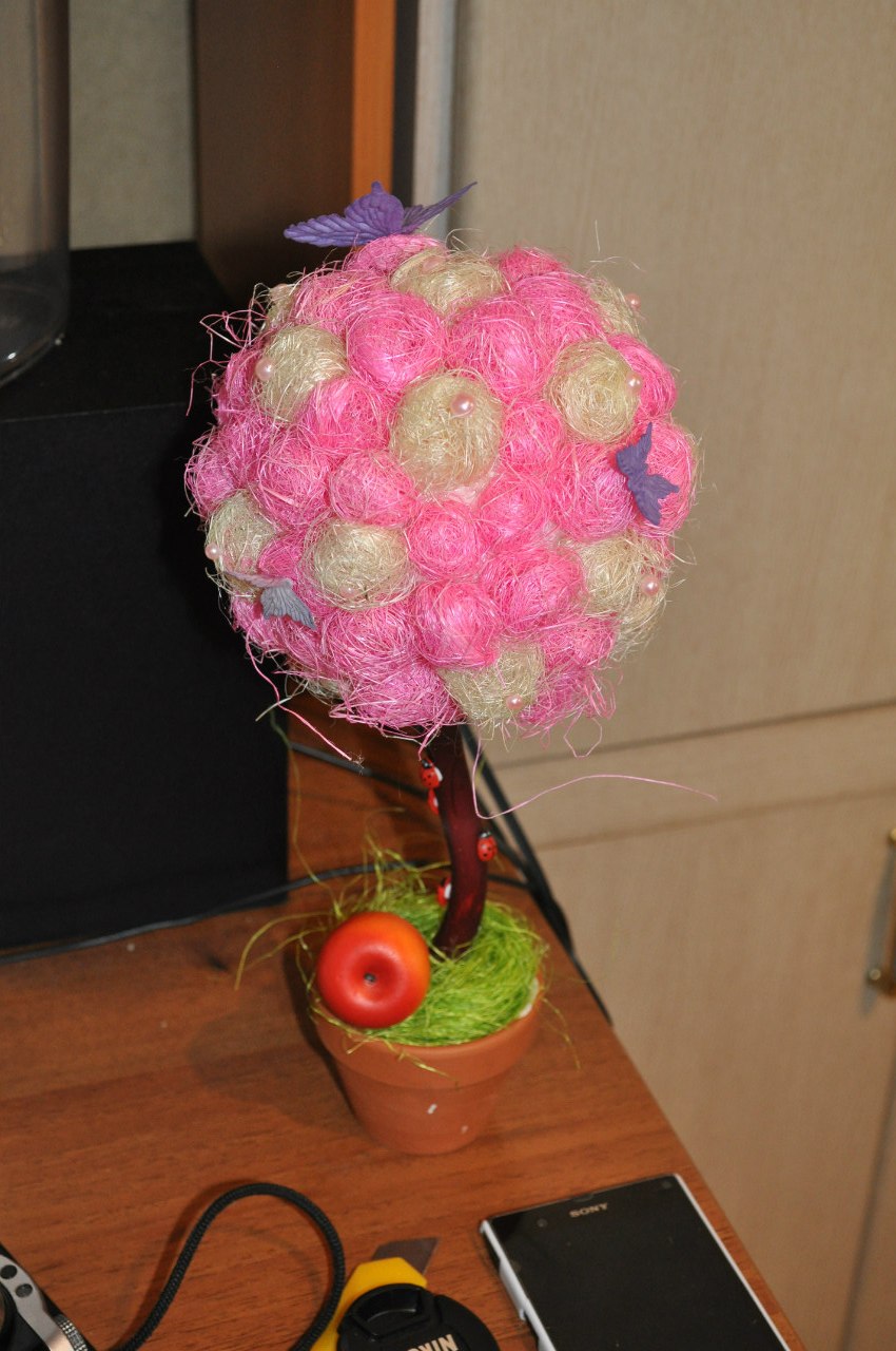 Топиарий ведущей мастер-класса, Фото с места события собственное