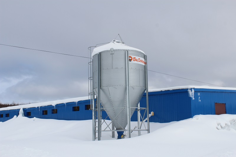 ООО "Птицефабрика Дукчинская", Фото с места события собственное