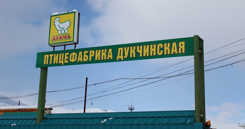 ООО "Птицефабрика Дукчинская" Юлия Чухломина, ИА MagadanMedia