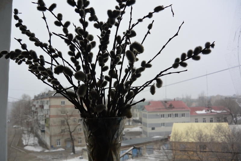 Вербное воскресенье, Фото с места события собственное