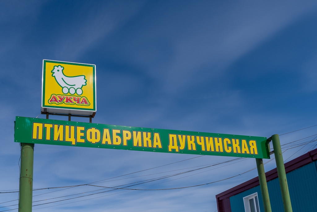 ООО "Птицефабрика Дукчинская", Фото с места события собственное