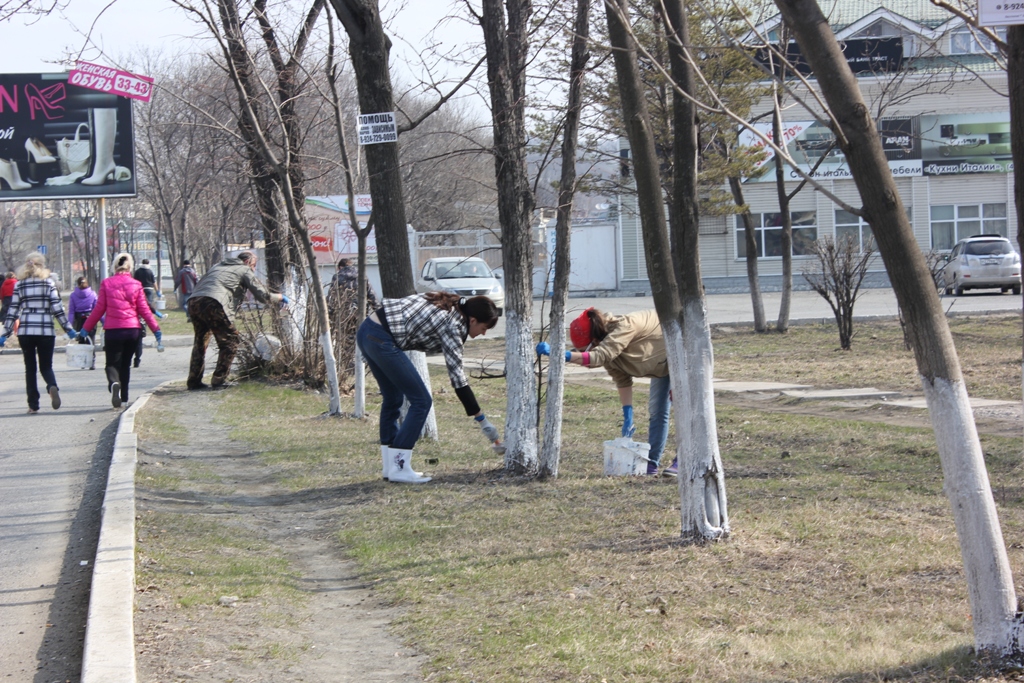 Сотрудники администрации побелили деревья, Фото с места события собственное