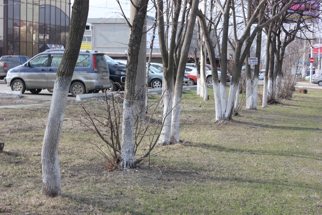 Вот такой след ставили после себя госслужащие, Фото с места события собственное