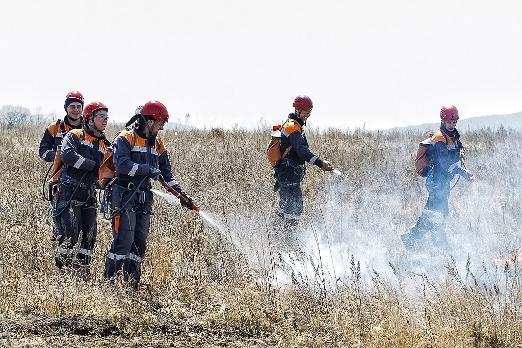 Борьба с пожаром с помощью ранцевых огнетушителей , Фото с места события собственное