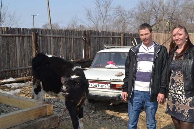 Буренка - в подарок от РДФ РДФ по ЕАО