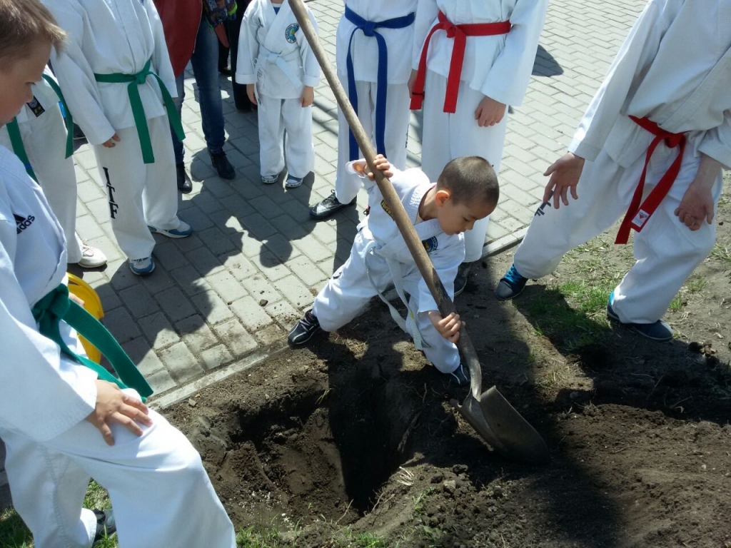 Самому маленькому тхэквондисту Находки - четыре года, Фото с места события из других источников