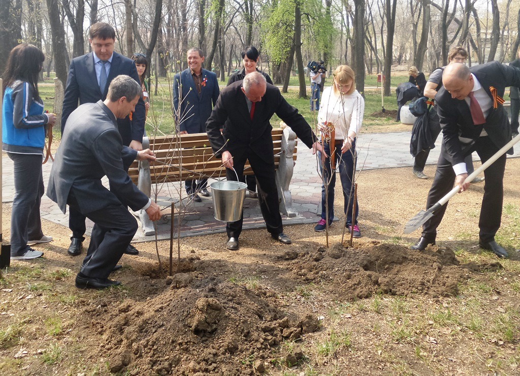 Высадка кустов сирени в Покровке, Фото с места события собственное